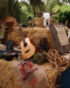 Country Village 